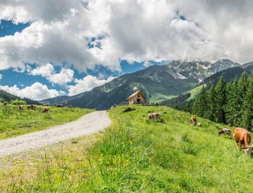 Fietsen in de Wildschönau, een ideale bestemming!